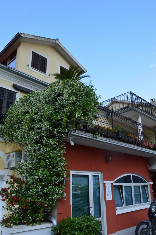 Apartments Qualitas Котор Екстериор снимка